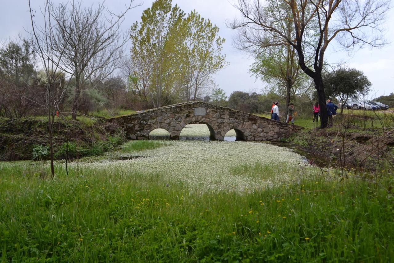 Plasenzuela Albergue La Jarilla מראה חיצוני תמונה