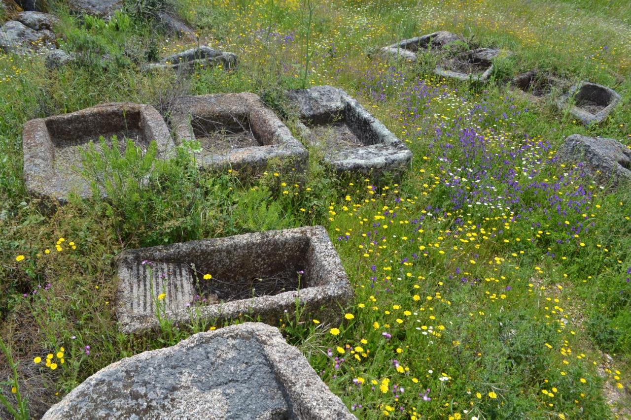 Plasenzuela Albergue La Jarilla מראה חיצוני תמונה